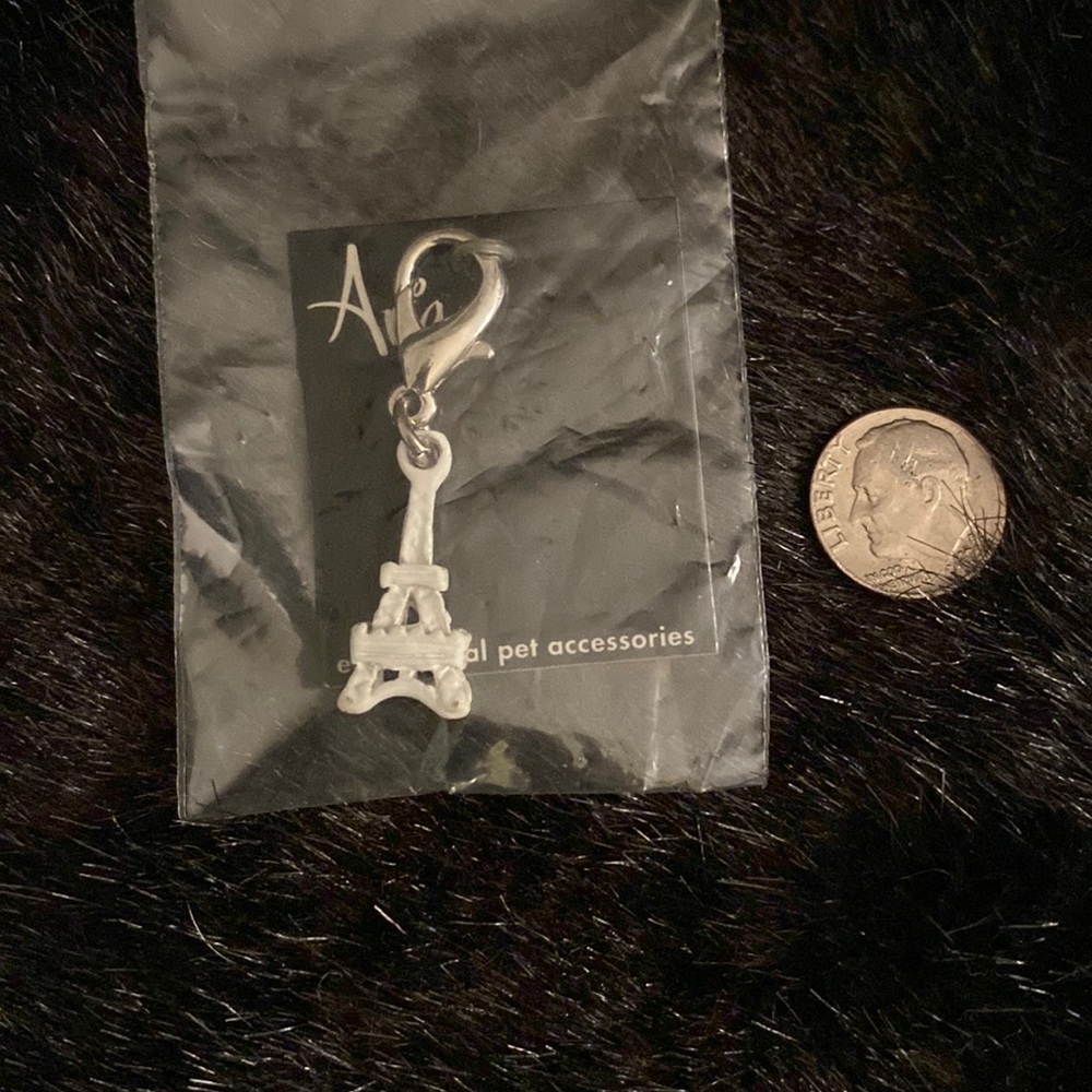 Eiffel Tower Dog Collar Charm Tag
